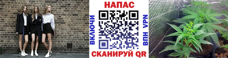 Канабис AK-47 Кохма